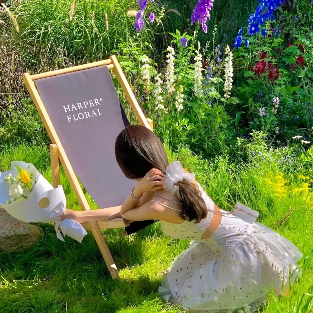 风云变2024